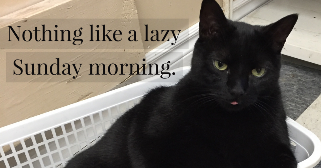 Black cat lounging comfortably in a basket on a quiet snowy Sunday, representing rest, safety, and slowing down